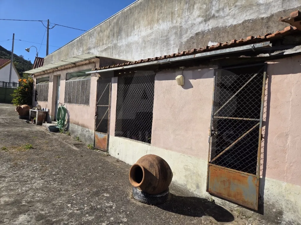 Moradia T3 com Jardim, Anexos e Enorme Potencial – Moitas Vendas