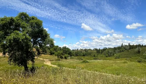 Herdade com 11,6 hectares em São Bartolomeu da Serra, Santiago do Cacém