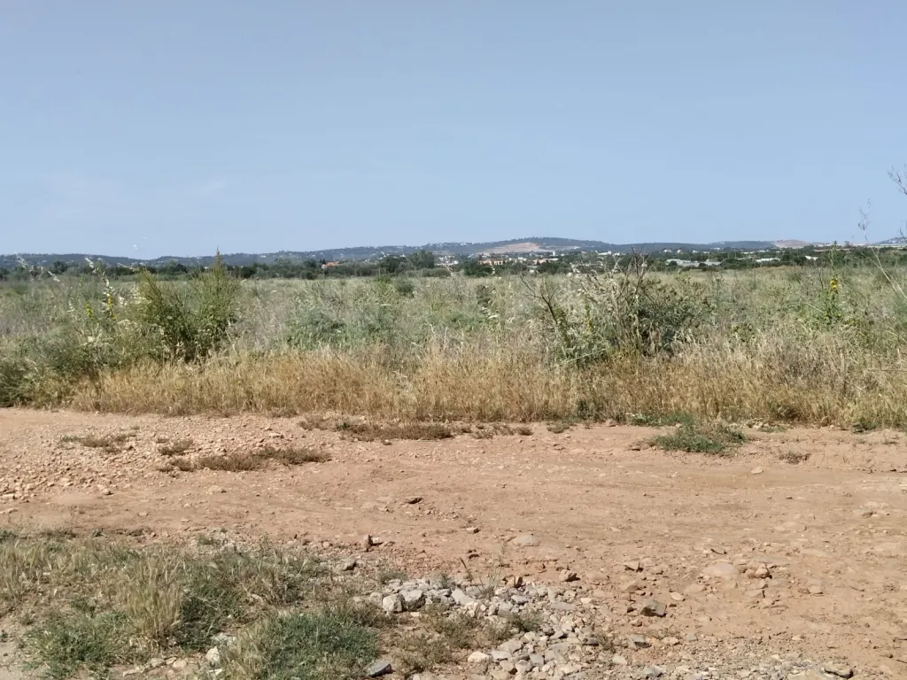 Lote de terreno rústico plano