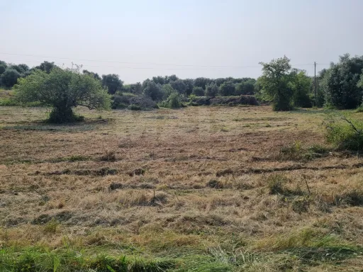 Terreno Misto com Ruina em TORRES NOVAS