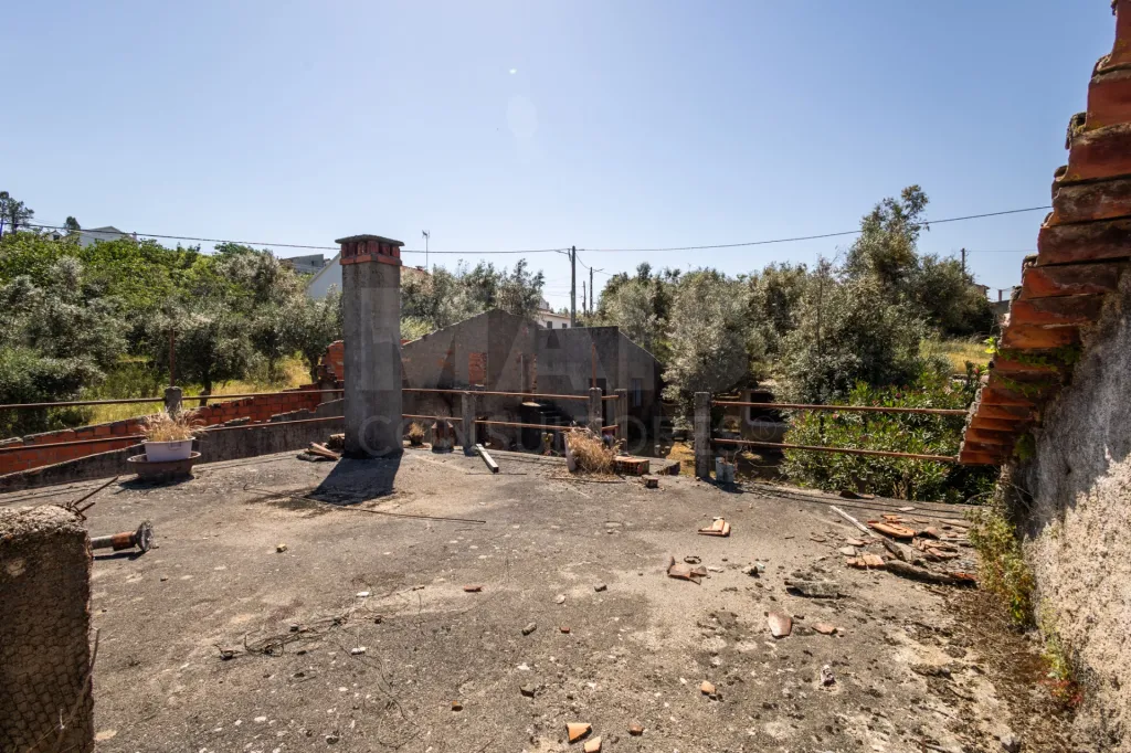 PROPRIEDADE DE CARÁTER NA N2 | 400 m² DE CONSTRUÇÃO, OLIVAL E POTENCIAL TURÍSTICO