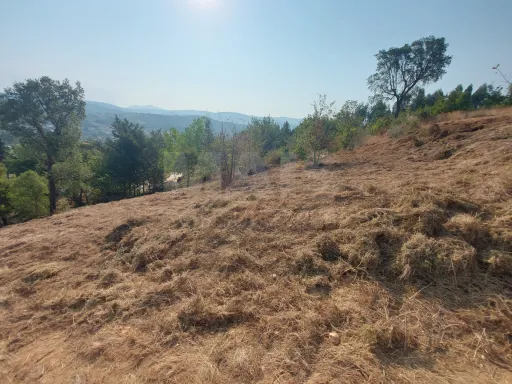 Terreno 2600 m2 para contruir em Côja