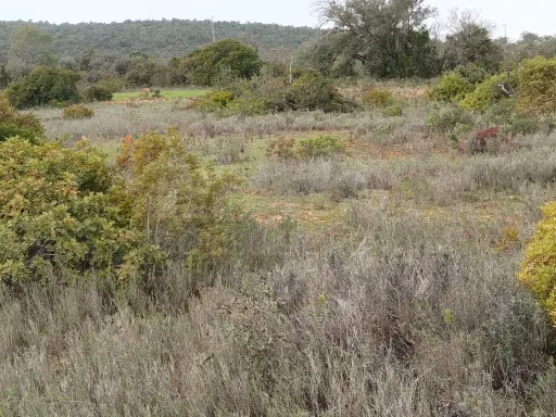 Lote de Terreno Rustico