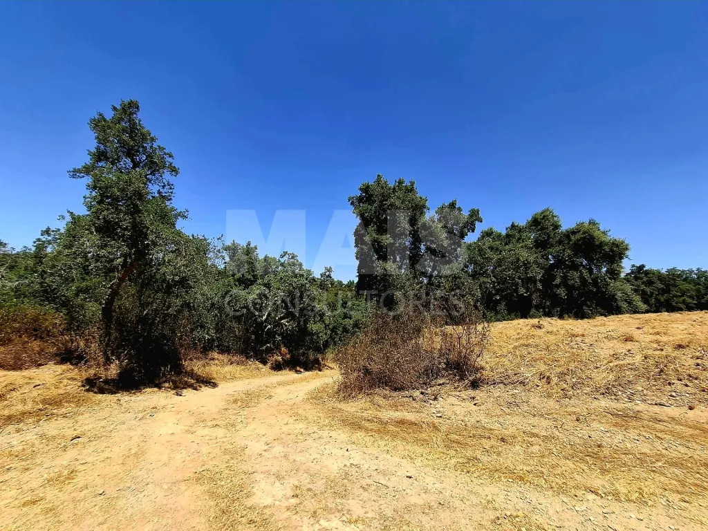 Herdade com 73,7 h em Relíquias, Odemira