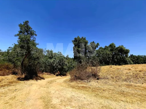 Herdade com 73,7 h em Relíquias, Odemira