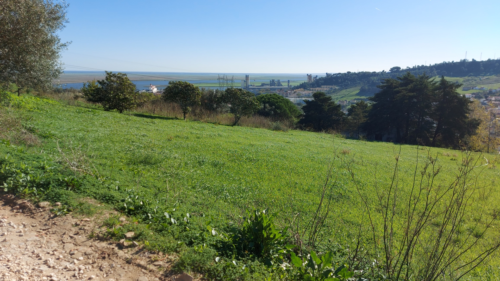 Terreno Urbanizavel c/ vista rio em Alhandra