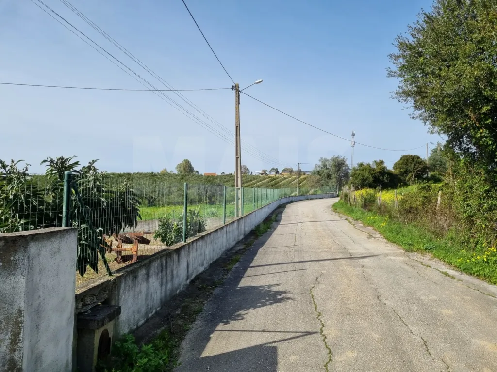 Small Farm with 6.2 Hectares, Abundant Water and 902 m² of Construction in Torres Novas
