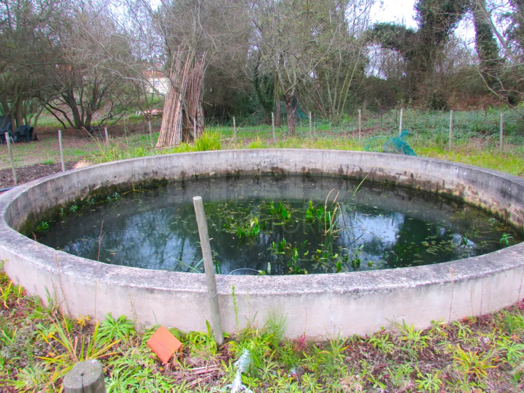 Terreno Misto - 1ha - Torres Vedras - Ramalhal