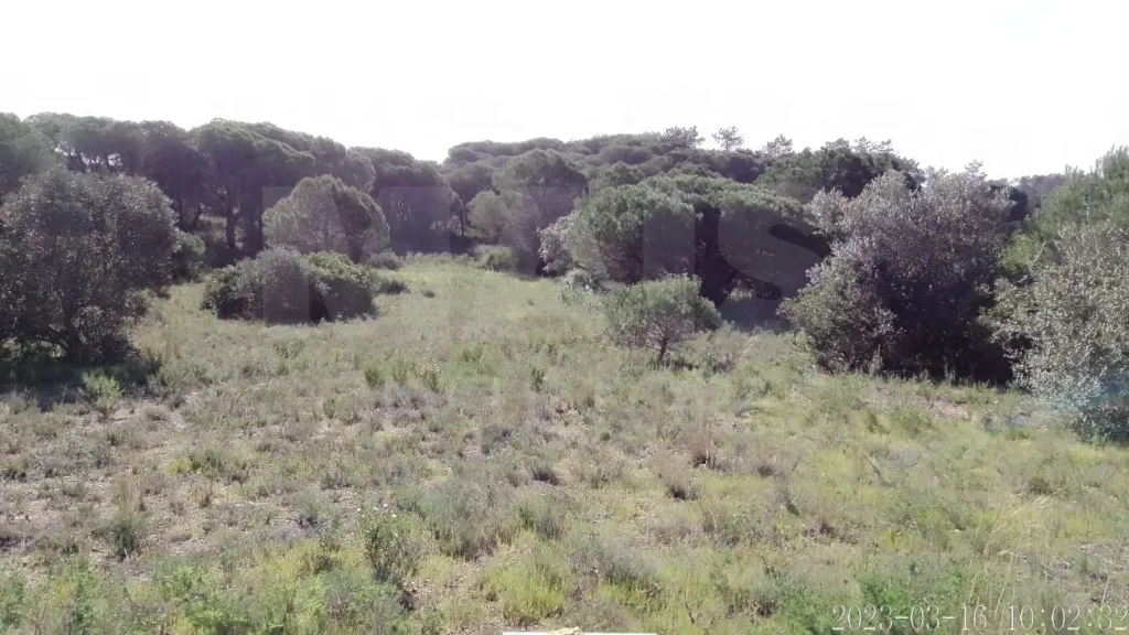 Lote de Terreno Rustico