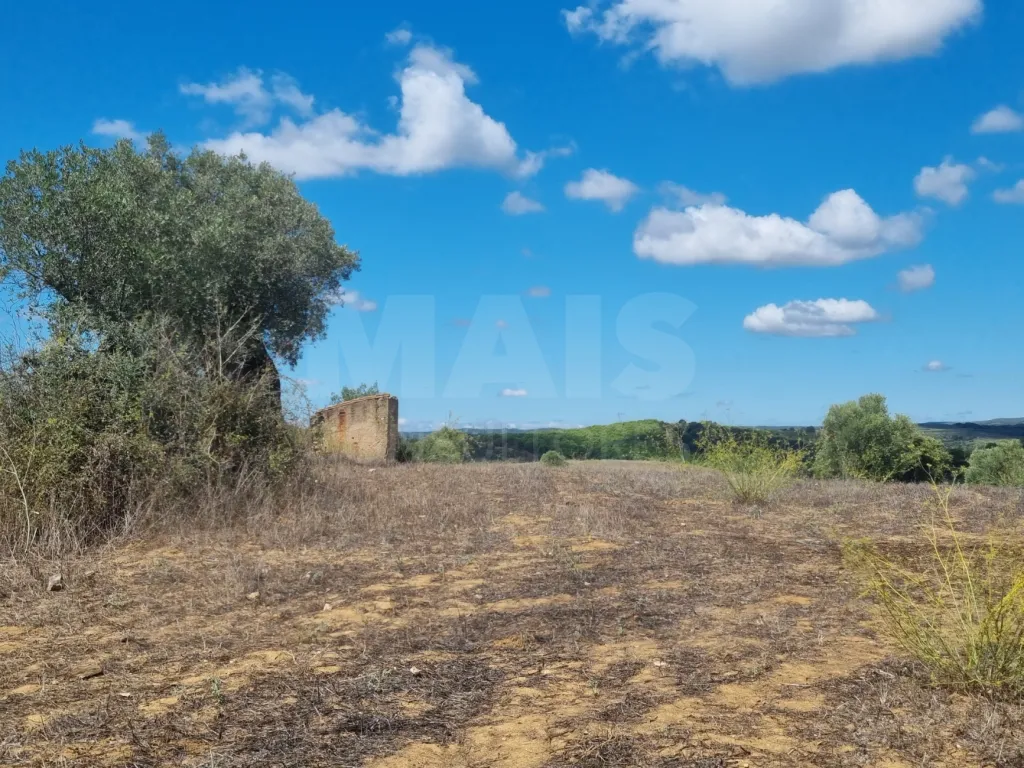 Terreno Rustico CASALINHO -MOURISCAS