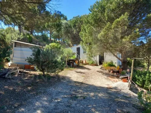 Terreno Rústico com 16840m2 com casa de apoio Calhandriz-Alhandra