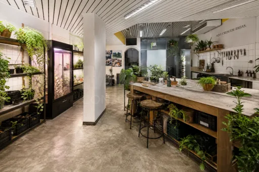Um espaço. Diferentes caminhos. | 123 M² NO CENTRO DA BENEDITA