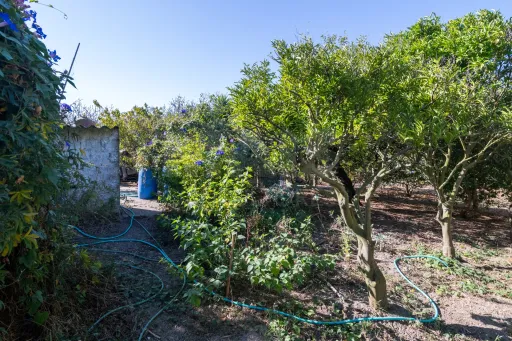 Duas Moradias com Terreno de 1.480 m² no centro da Lourinhã