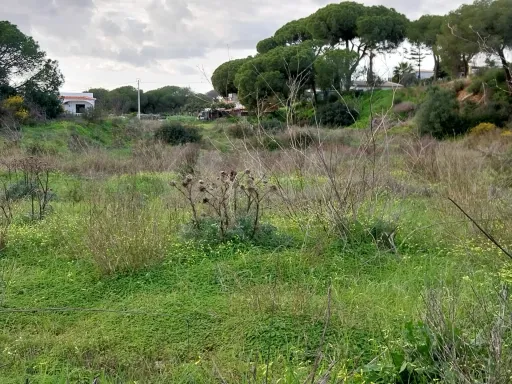 Lote de terreno Rustico com bom acesso e eletricidade