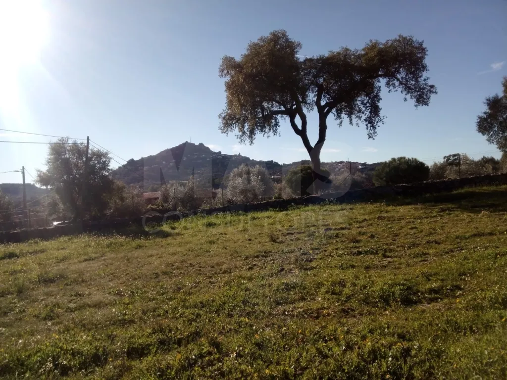 Terreno Rústico em Monsanto - Oportunidade Única para Construção Residencial