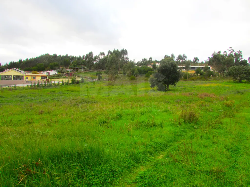 Terreno Urbanizável - 1,7ha - Torres Vedras - Ramalhal