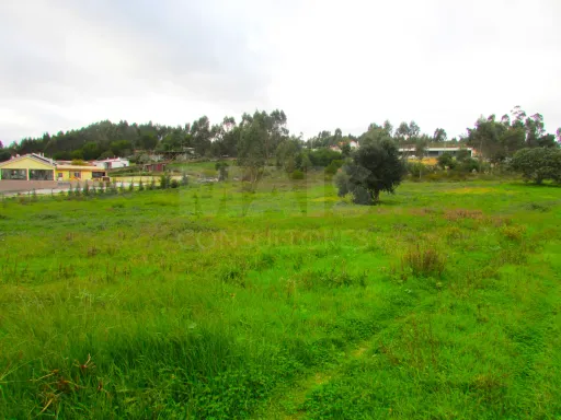 Terreno Urbanizável - 1,7ha - Torres Vedras - Ramalhal