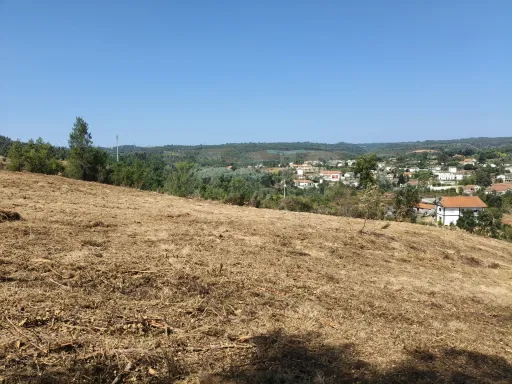 Terreno com 3048m2 para construir em Côja