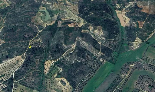 Terreno Rustico Ribeira Ruiva TORRES NOVAS