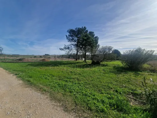 Terreno Rustico - Reinaldes