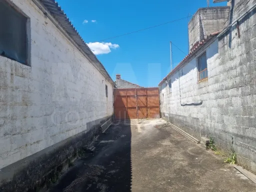 Quintinha com 6,2 Hectares, Água Abundante e 902 m² de Construção em Torres Novas