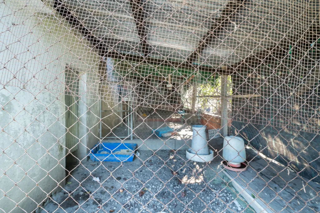 Duas Moradias com Terreno de 1.480 m² no centro da Lourinhã