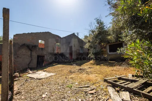 PROPRIEDADE DE CARÁTER NA N2 | 400 m² DE CONSTRUÇÃO, OLIVAL E POTENCIAL TURÍSTICO