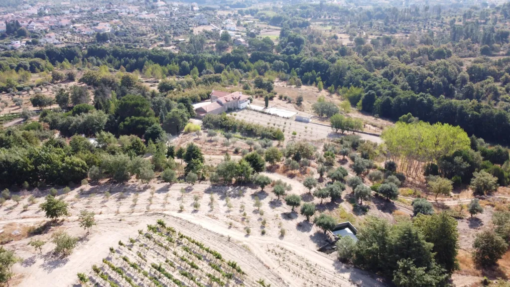 Herdade / Quinta com 25–27 ha, vinha em produção, olival e piscina – Serra da Estrela, Gouveia
