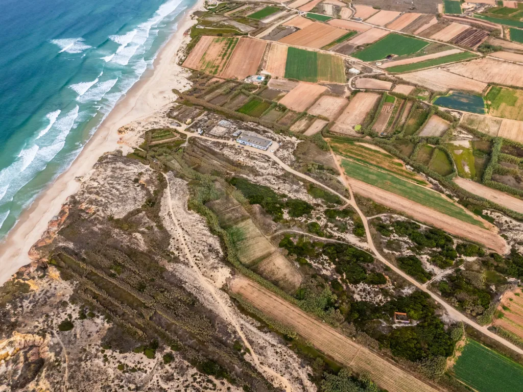 🏝️ Terreno Rústico em  Ferrel (Peniche)
