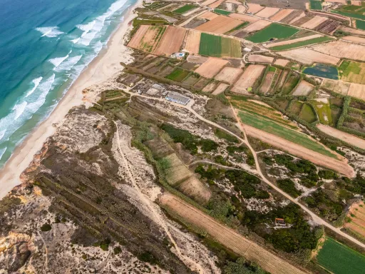 🏝️ Terreno Rústico em  Ferrel (Peniche)