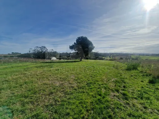 Terreno Rustico - Reinaldes