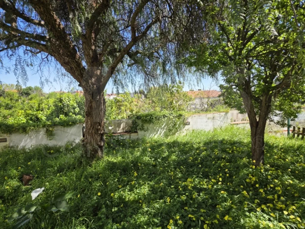 Prédio no Centro de Torres Novas com Jardim e Forte Potencial para constituição de Propriedade Horizontal com elevada rentabilidade de investimento
