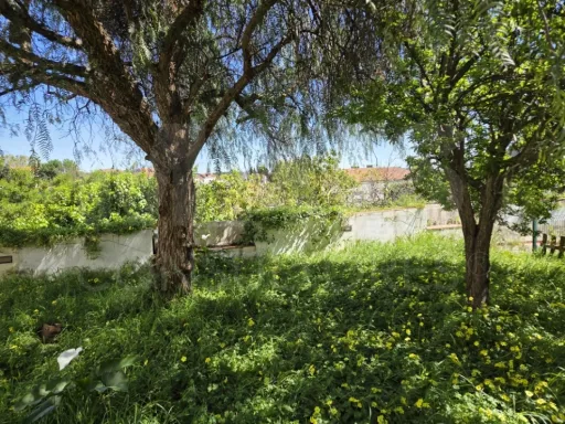 Prédio no Centro de Torres Novas com Jardim e Forte Potencial para constituição de Propriedade Horizontal com elevada rentabilidade de investimento