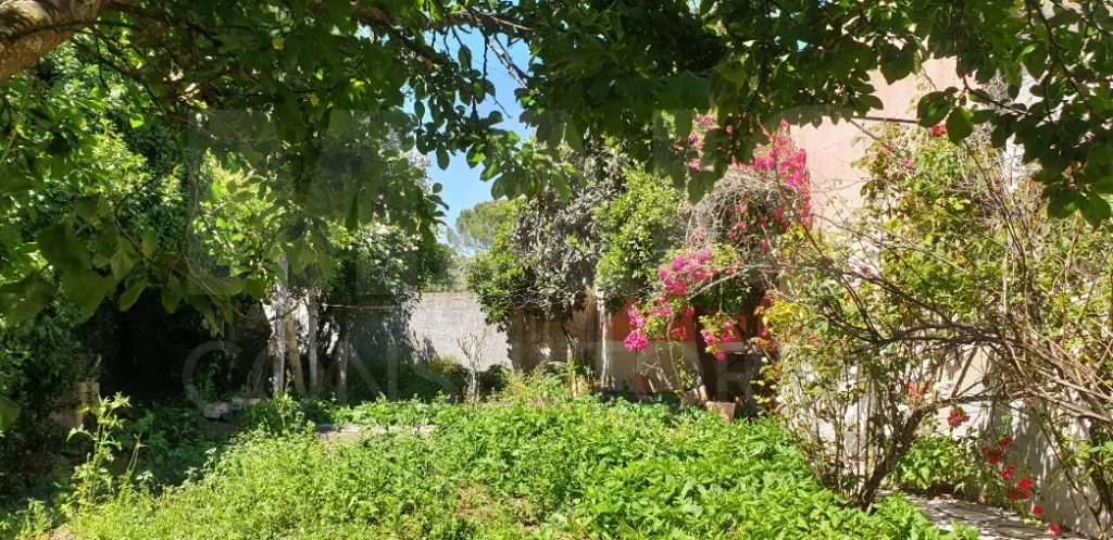Moradia V 4 + Armazém + Casa Térrea de 45m2 em CASAIS ROMEIROS Santarém