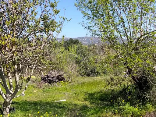 Lote de Terreno Rustico
