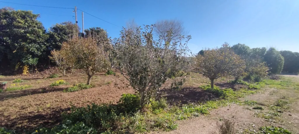 Terreno para Moradia T4 com Projeto Aprovado e Anexos | Lourinhã