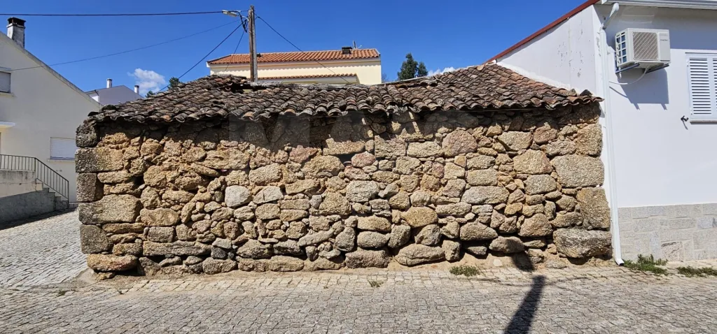 Ruina Propriedade Urbana com Afectação de Arrumos em Peroviseu