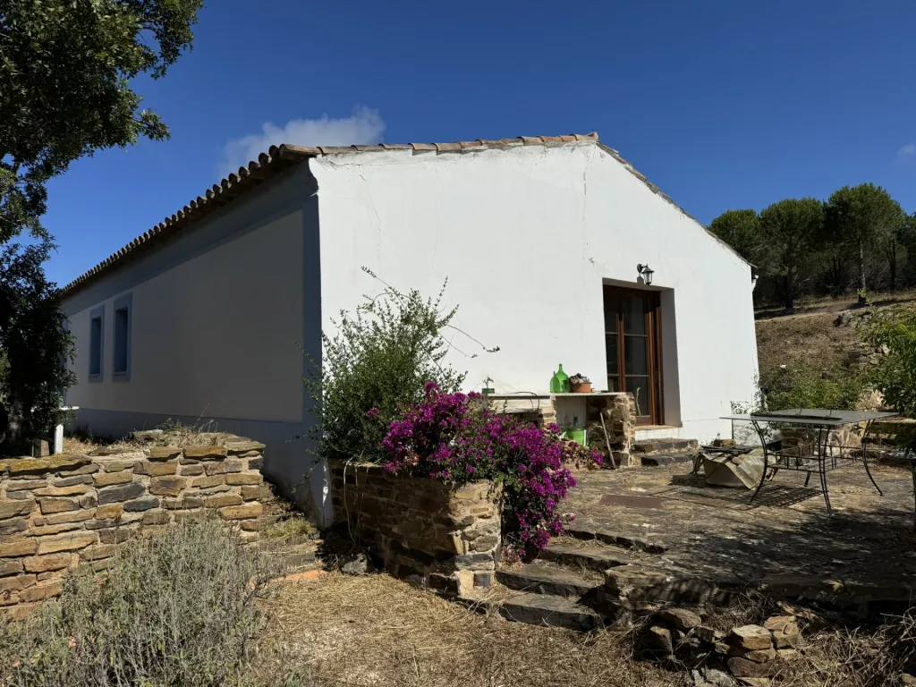Moradia T3 no campo, perto de Lagos com 15 ha - Negociável