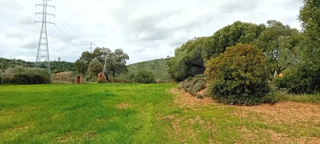Terreno com Ruina a 7 Km de S.B. de Messines Algarve