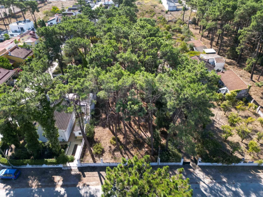 Lote Urbano para moradia(s) ou várias fracções na Aroeira Central
