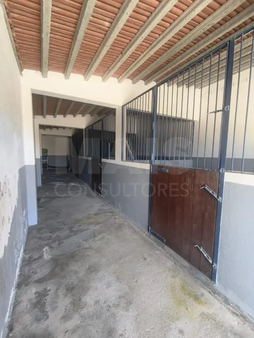 Propriedade com Piscina e Instalações Equestres – Um Refúgio Tranquilo com Potencial de Expansão