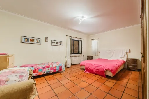 Propriedade única, a apenas 2 km de Alcobaça, com mais de 30.000 m² de terreno