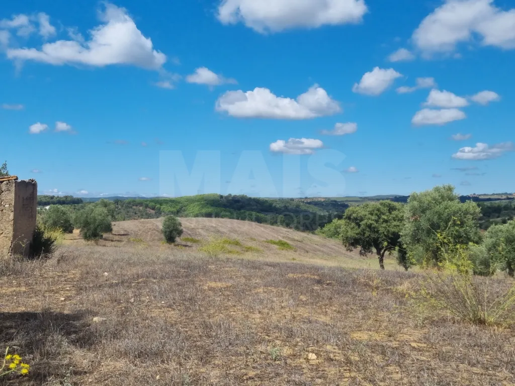 Terreno Rustico CASALINHO -MOURISCAS