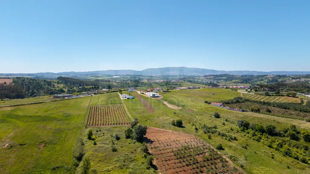 Moradia térrea T4 em terreno de 2 hectares no Carvalhal