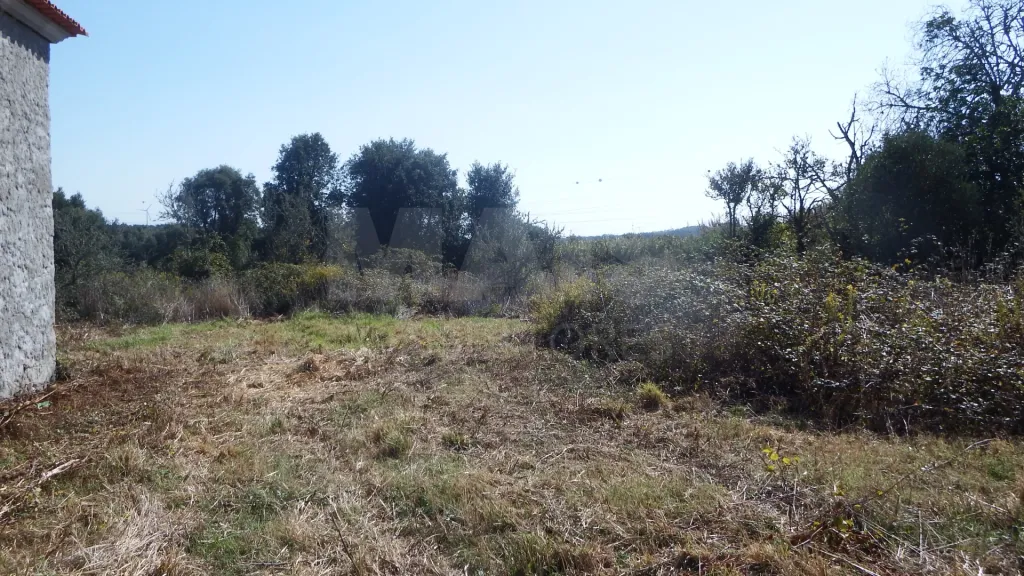 Quinta com Adega | 37.500 m² | Atouguia da Baleia, Peniche