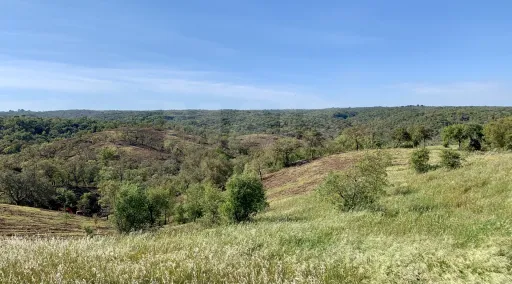 Herdade  com 40,85 hectares em São Bartolomeu da Serra, Santiago do Cacém