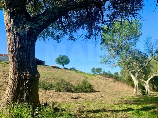 Herdade  com 40,85 hectares em São Bartolomeu da Serra, Santiago do Cacém