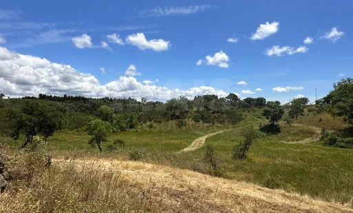 Herdade com 11,6 hectares em São Bartolomeu da Serra, Santiago do Cacém
