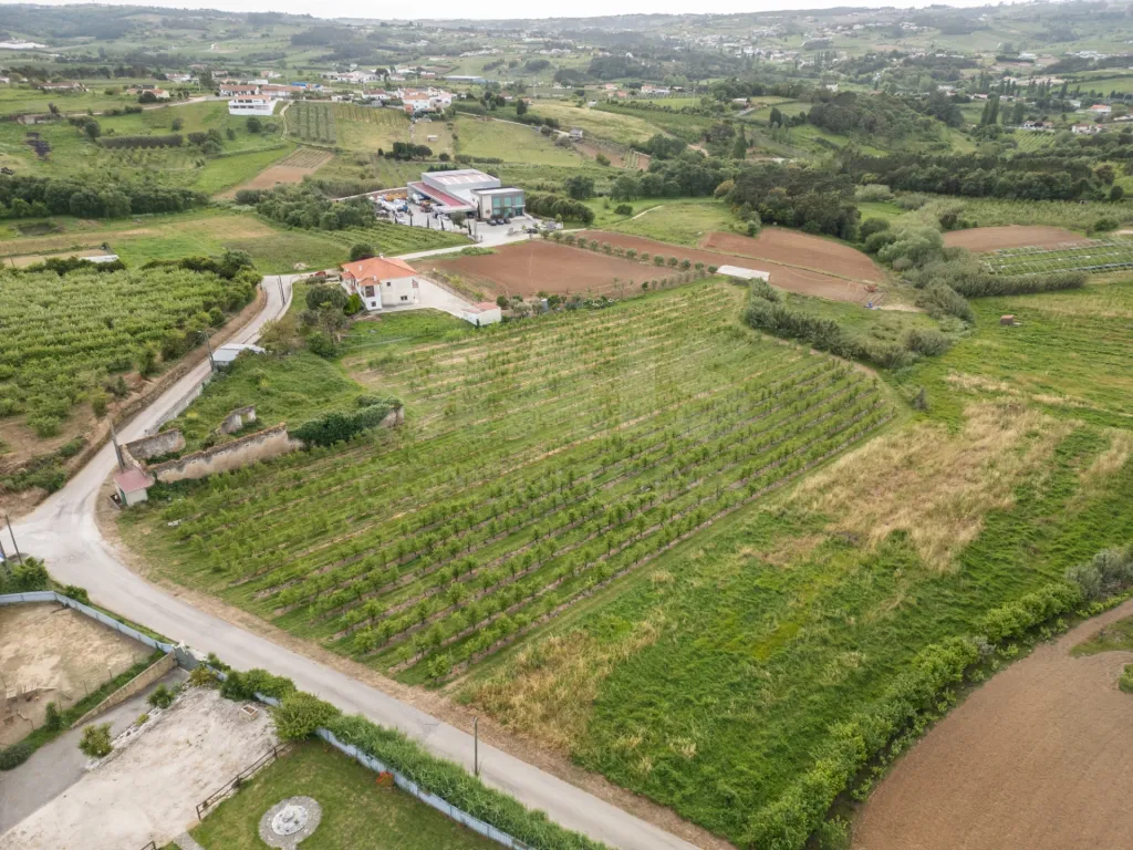 Terreno com PIP aprovado para 6 Moradias