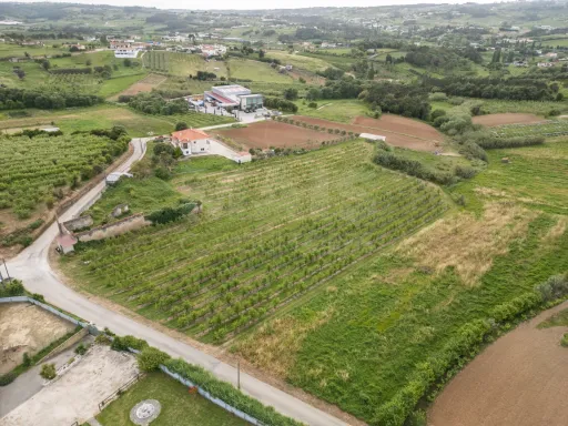 Terreno com PIP aprovado para 6 Moradias